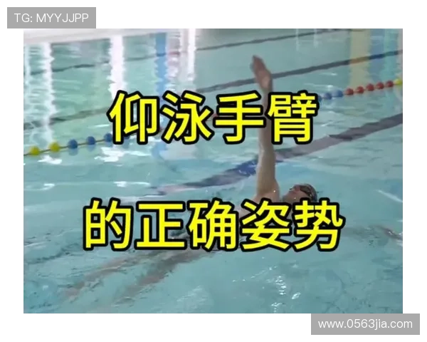 零基础学游泳从入门到精通全程指导技巧与训练方法